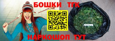 тгк Славгород