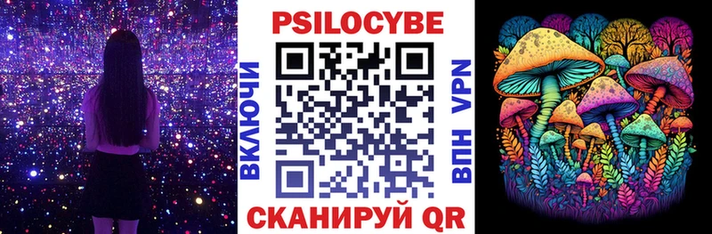 как найти закладки  Сальск  Псилоцибиновые грибы Psilocybine cubensis 
