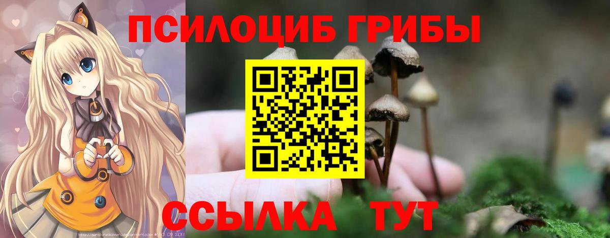 Галлюциногенные грибы ЛСД Сальск